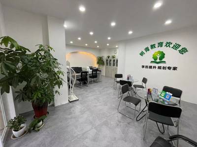 深耕教育咨詢，點亮成長之路——河南樹青教育咨詢服務解析